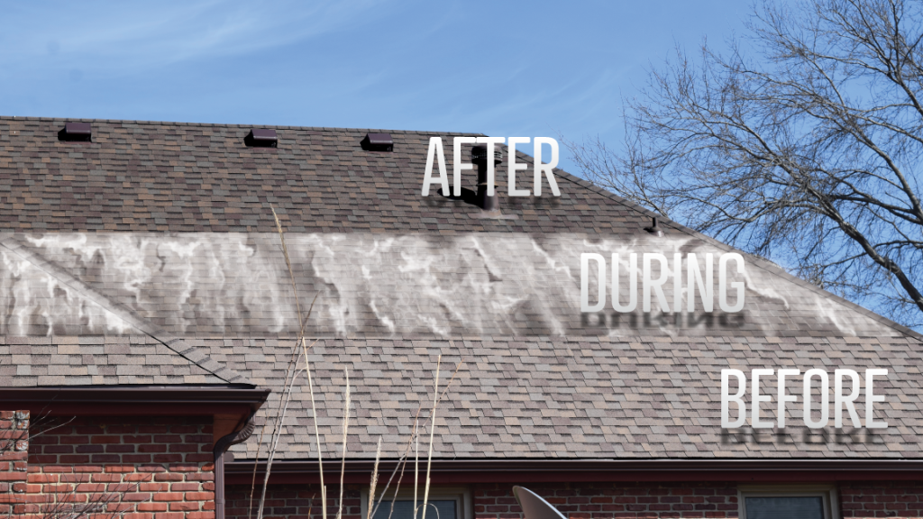 Before and after roof rejuvenation comparison